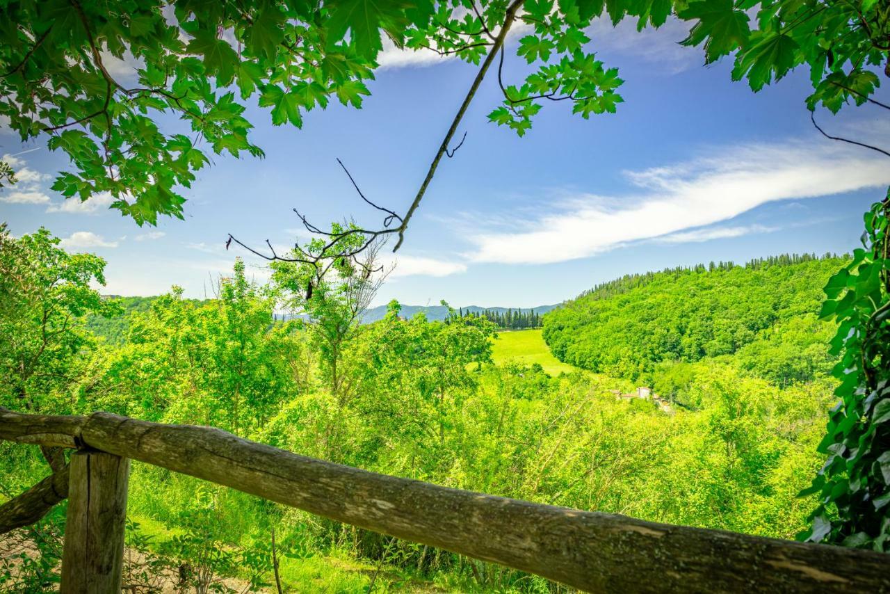 Pensjonat Casa Al Bosco SantʼEllero Zewnętrze zdjęcie