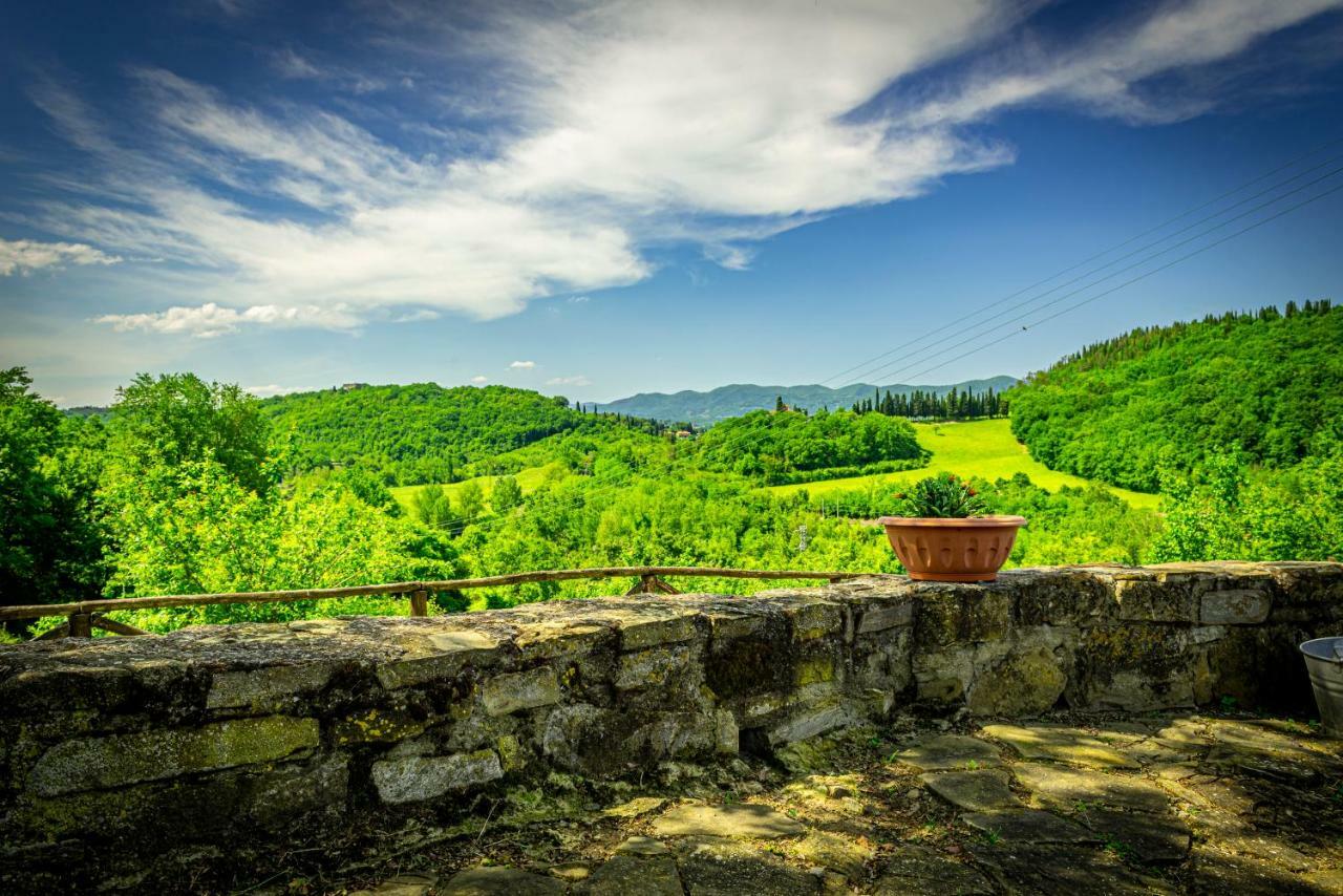 Pensjonat Casa Al Bosco SantʼEllero Zewnętrze zdjęcie