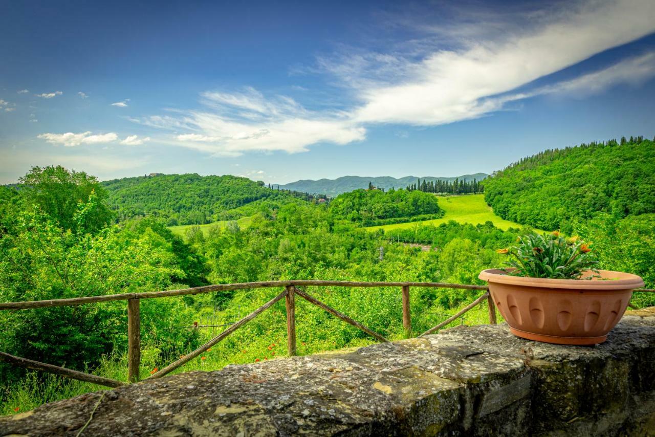 Pensjonat Casa Al Bosco SantʼEllero Zewnętrze zdjęcie